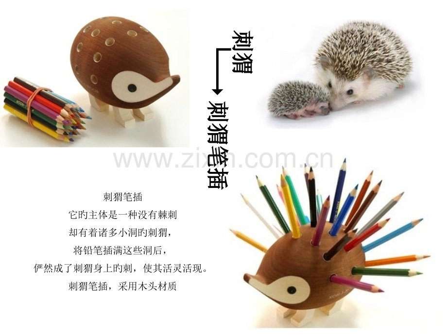 产品仿生设计案例优质课件.pptx_第2页