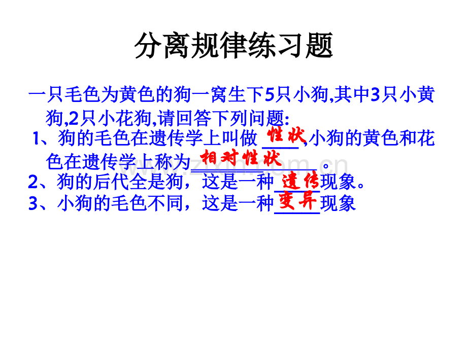 第十章分离规律练习题.ppt_第1页