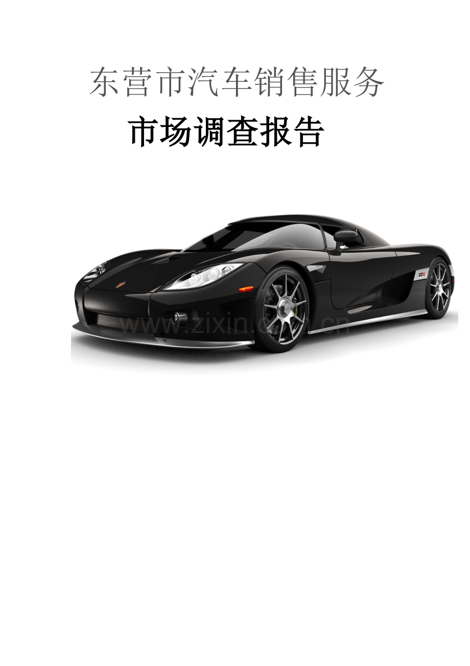 一组东营市汽车销售服务调查报告.doc_第2页