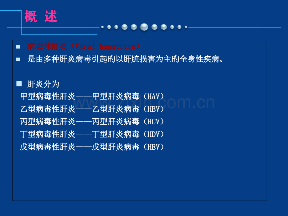 病毒性肝炎专业知识讲座.pptx_第2页
