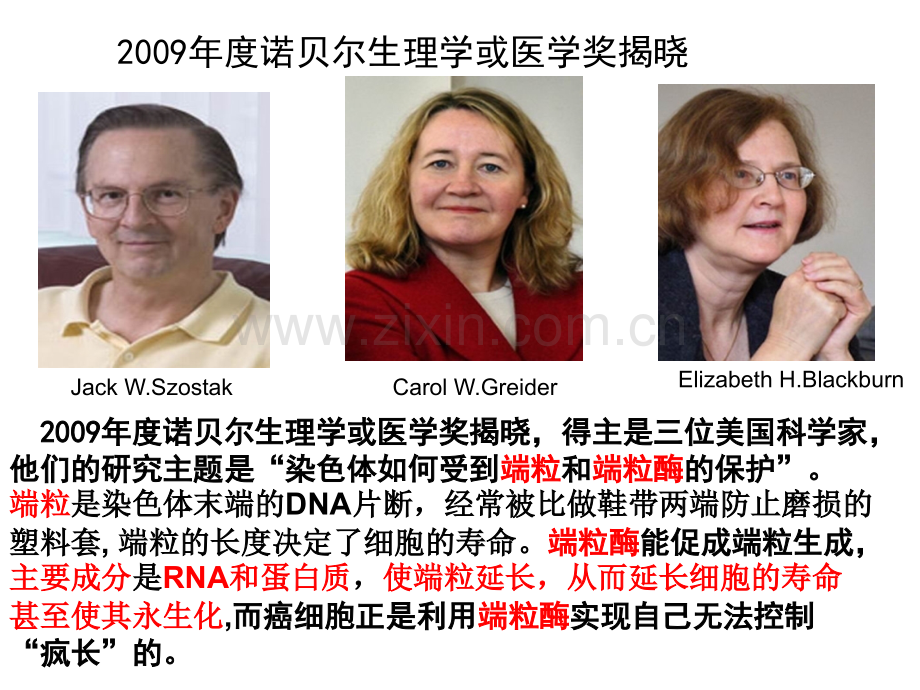 酶与细胞呼吸会考复习.ppt_第2页
