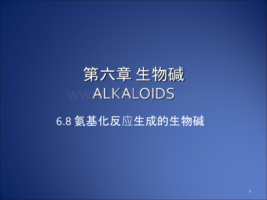 第六章生物碱6.8氨基化反应.ppt_第1页