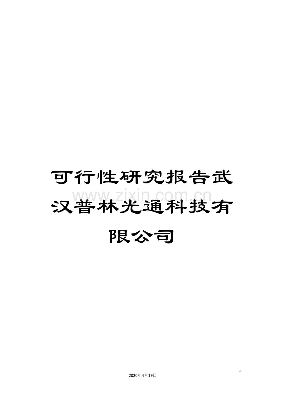 可行性研究报告武汉普林光通科技有限公司.doc_第1页