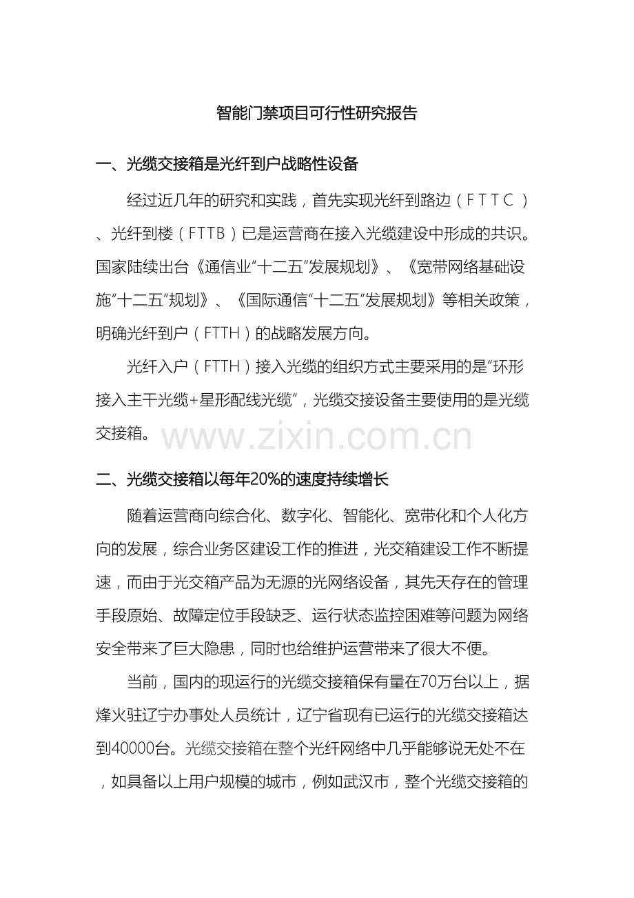 可行性研究报告武汉普林光通科技有限公司.doc_第2页