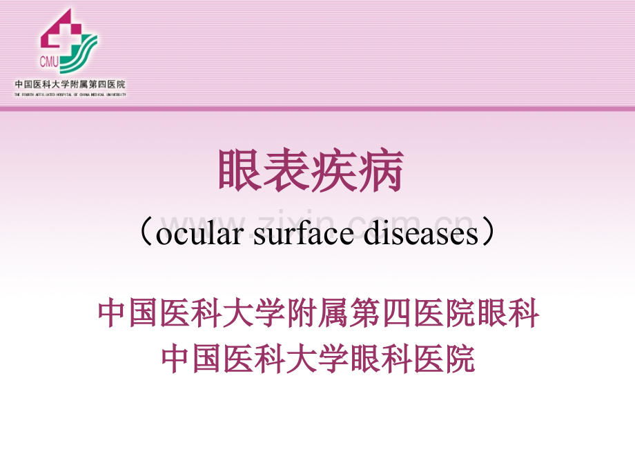 第六章眼表.ppt_第1页