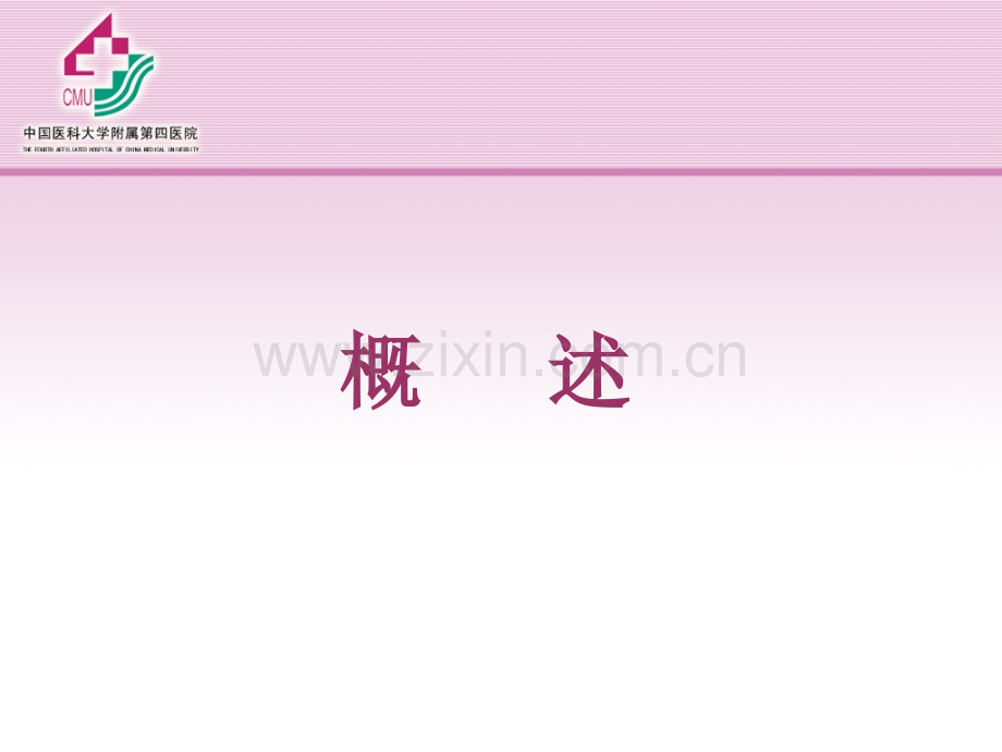 第六章眼表.ppt_第2页