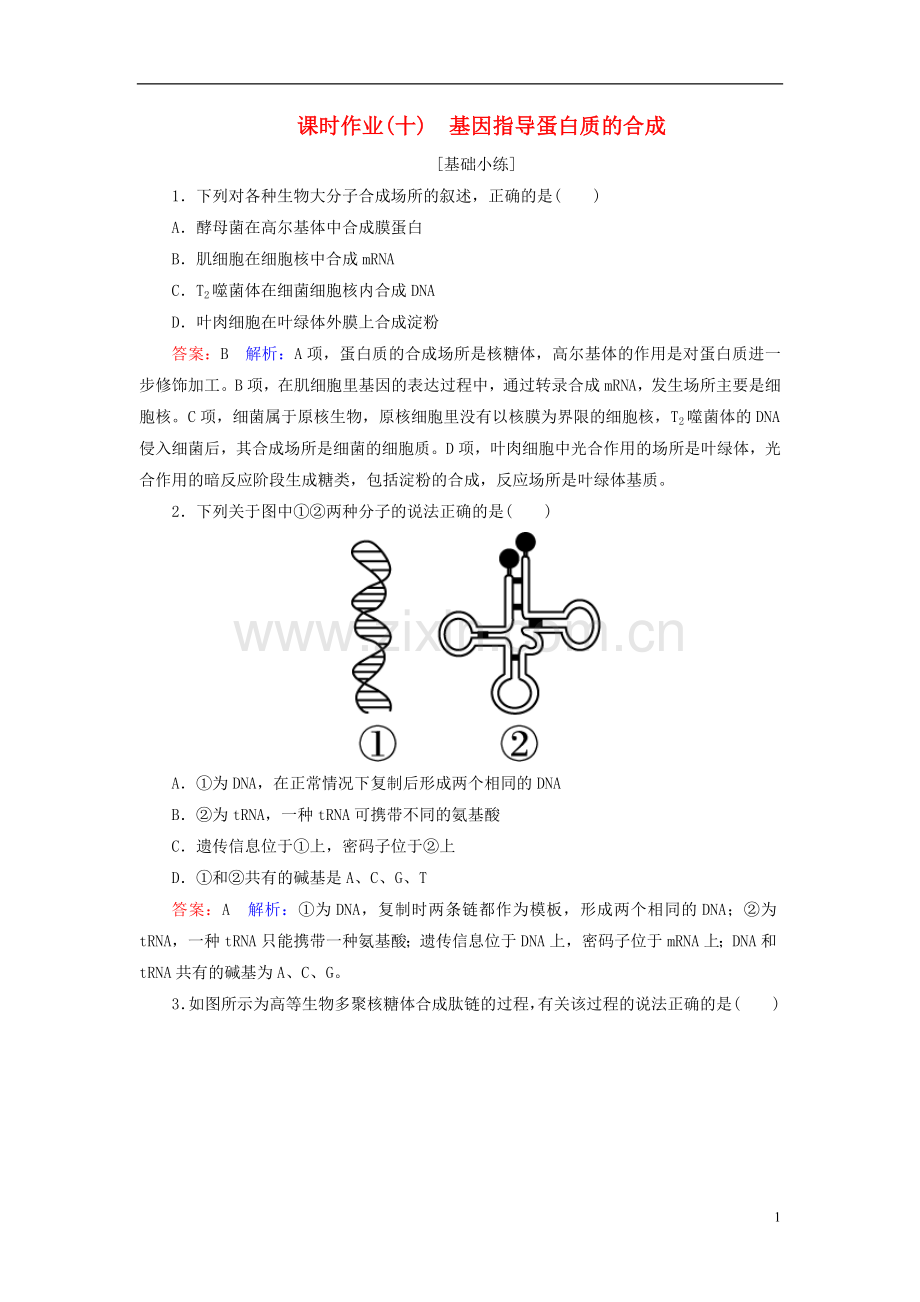 高中生物课时作业10第4章基因的表达第1节基因指导蛋白质的合成新人教版必修2.doc_第1页