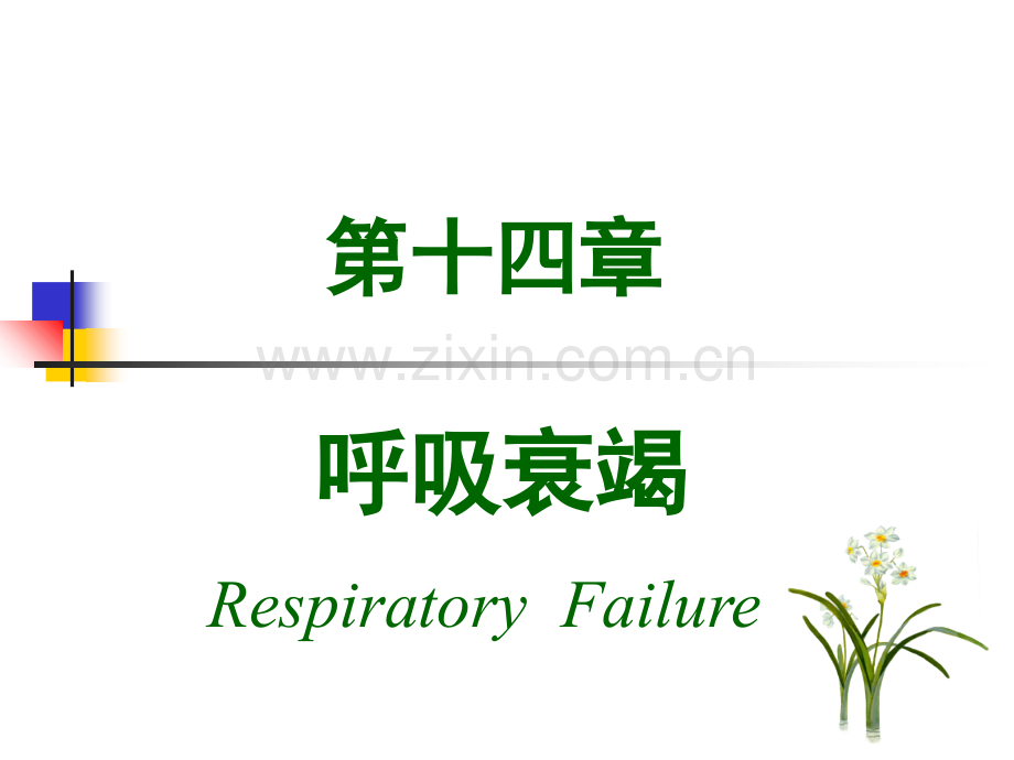第十四章肺功能不全.ppt_第1页