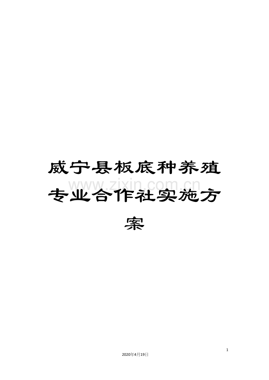 威宁县板底种养殖专业合作社实施方案.docx_第1页