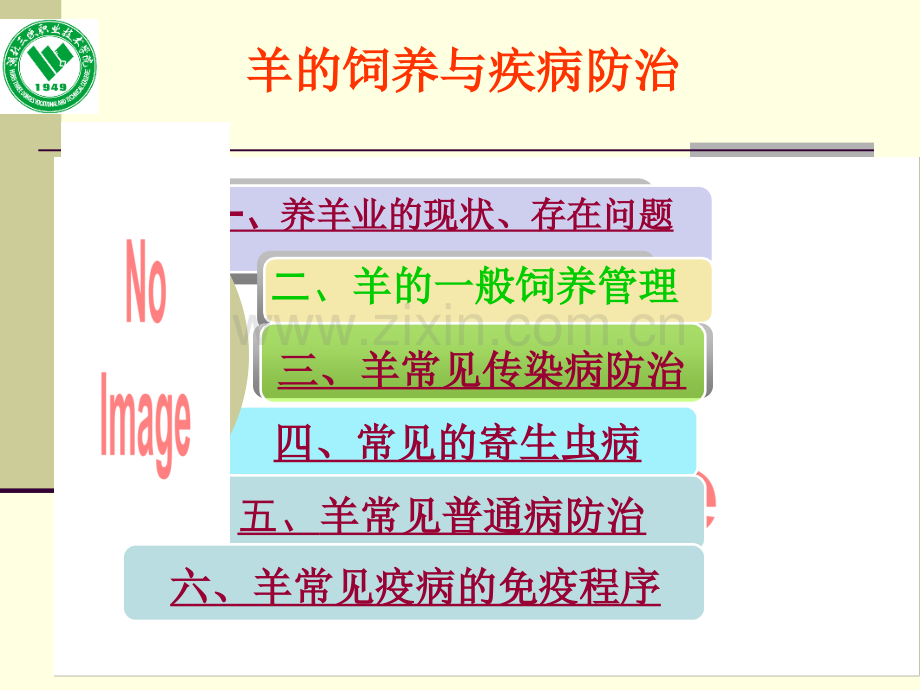 羊的饲养与疾病防治.ppt_第2页