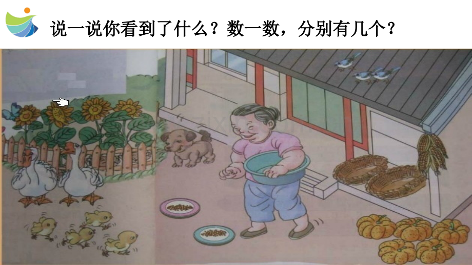 15的认识专题培训课件.ppt_第1页