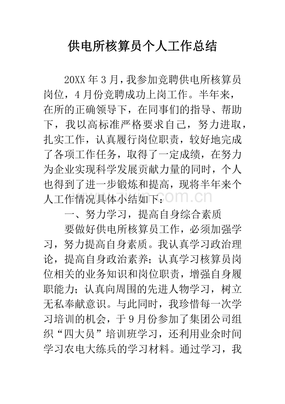 供电所核算员个人工作总结.docx_第1页