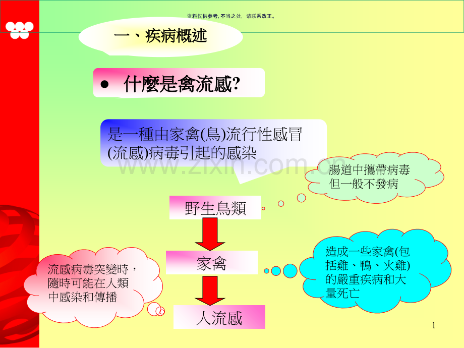禽流感专题讲座.ppt_第1页