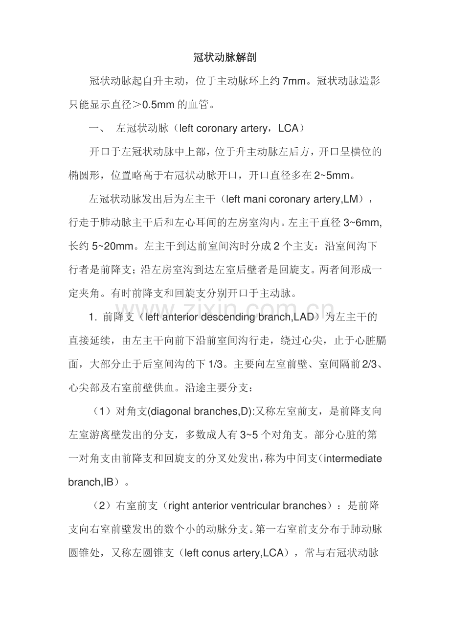 冠状动脉主要分支.pdf_第1页