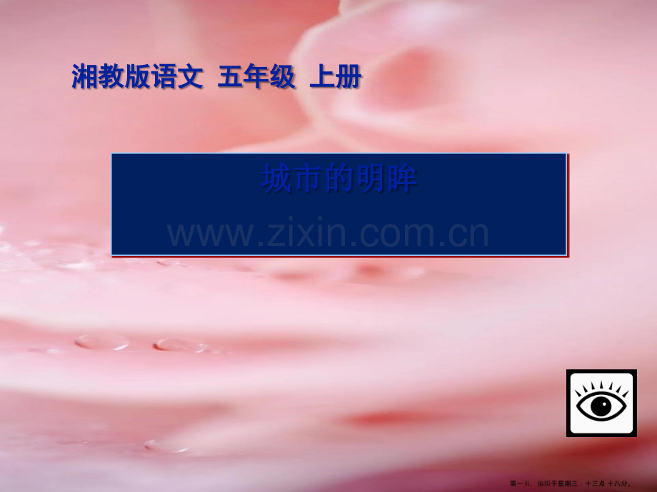 2022春湘教版语文五上《城市的明眸》ppt课件.ppt_第1页