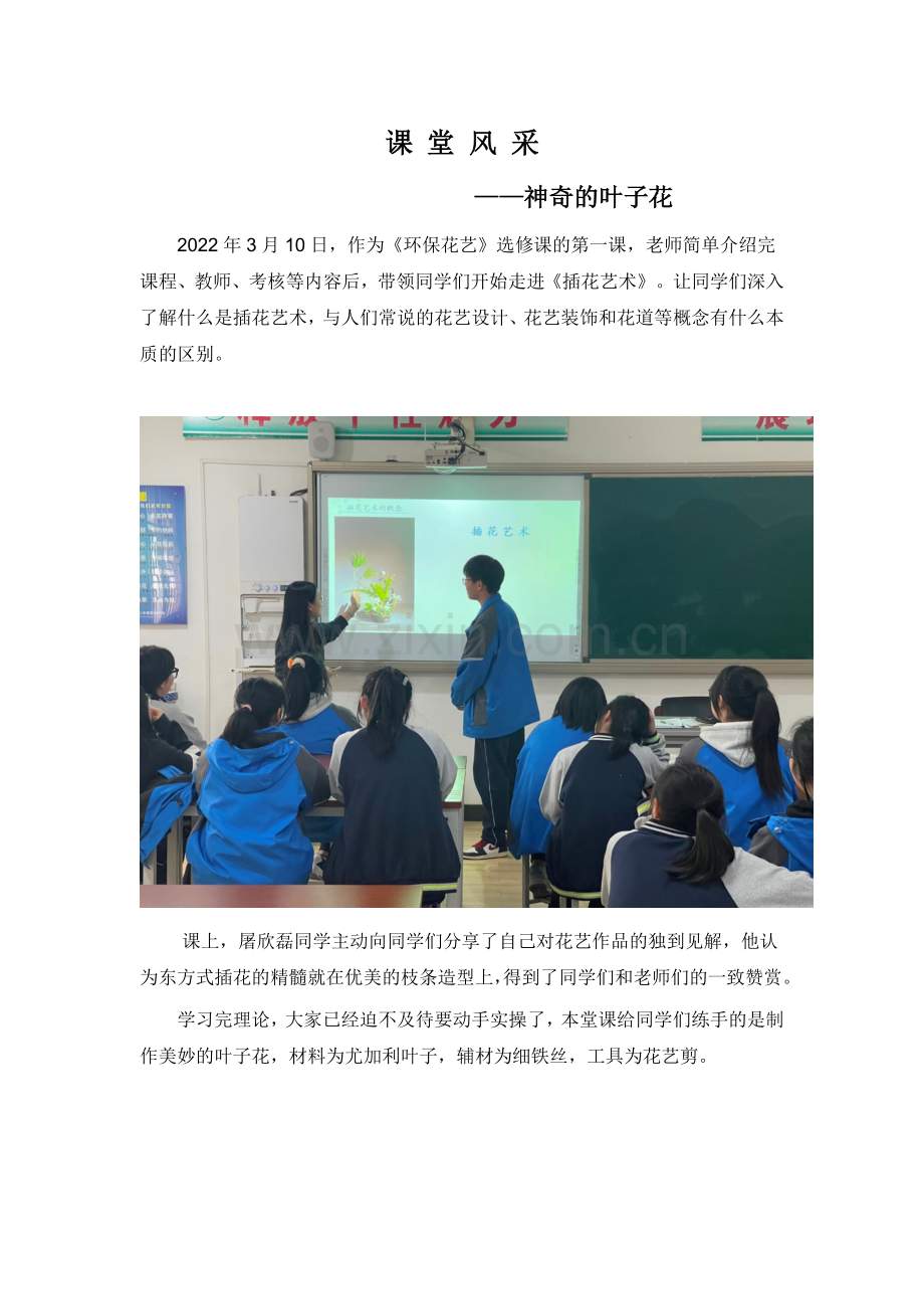 中小学神奇的叶子花公开课教案教学设计课件试题卷案例练习.docx_第1页