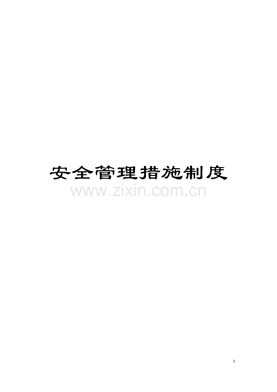 安全管理措施制度模板.doc_第1页