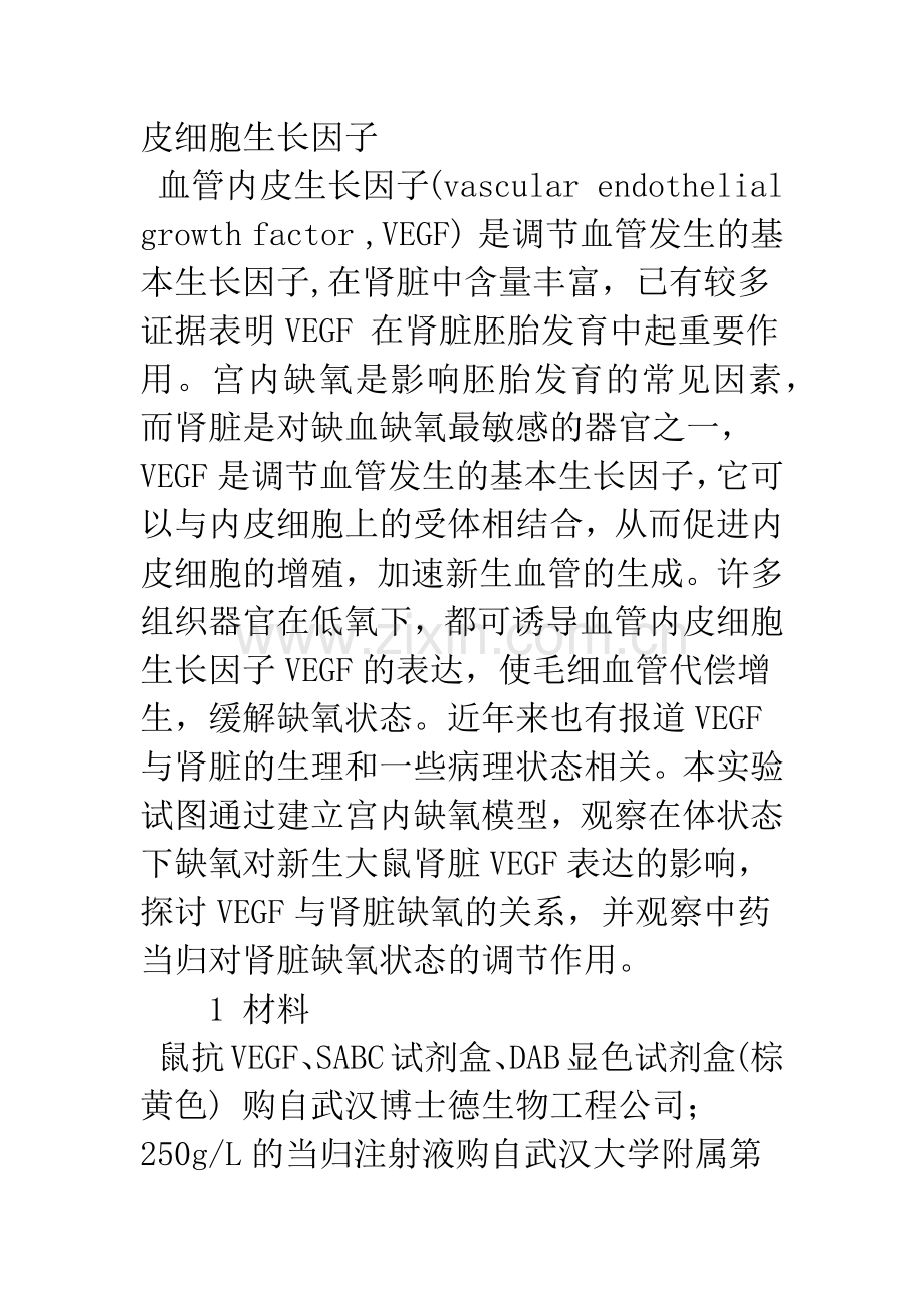 当归对宫内缺氧后新生大鼠肾脏内血管内皮生长因子表达的影响.docx_第2页