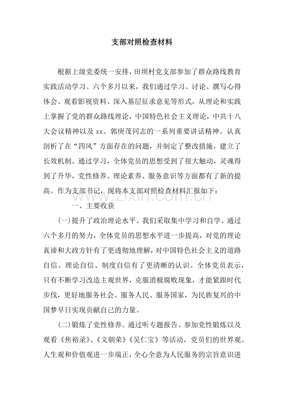 支部对照检查材料.docx_第1页