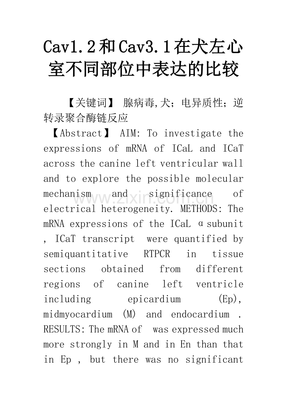 Cav1.2和Cav3.1在犬左心室不同部位中表达的比较.docx_第1页
