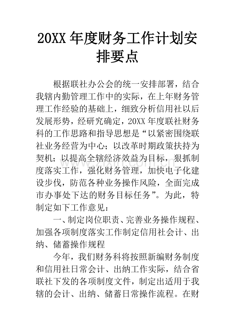 20XX年度财务工作计划安排要点.docx_第1页