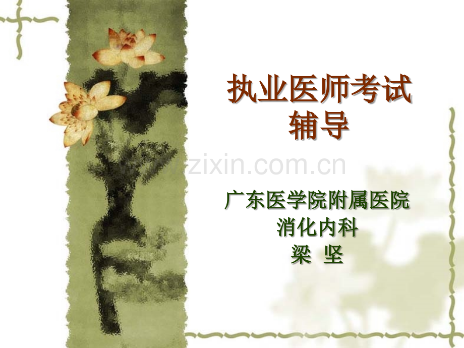 执医-内科.ppt_第1页