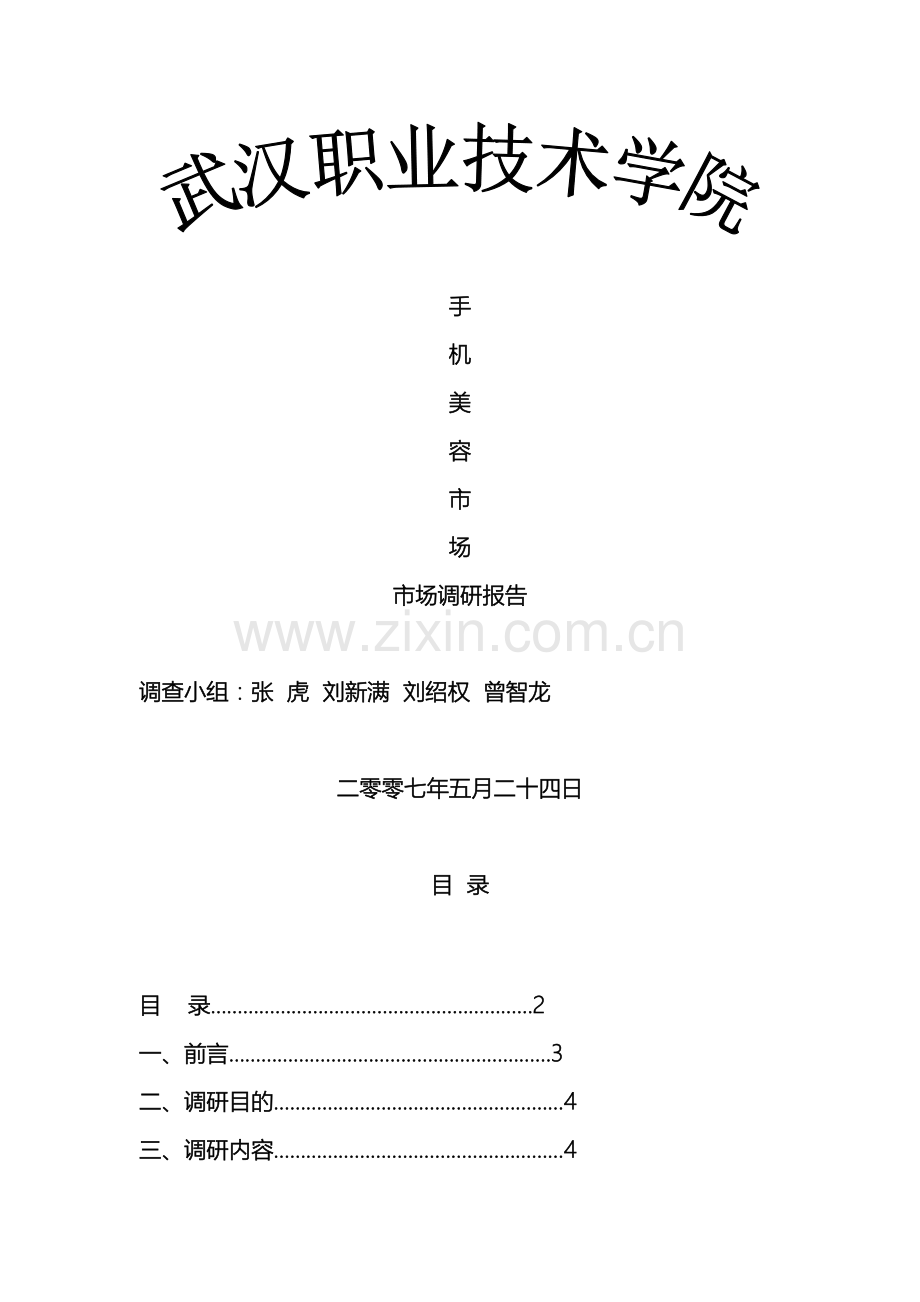 手机美容项目市场调研方案.doc_第2页