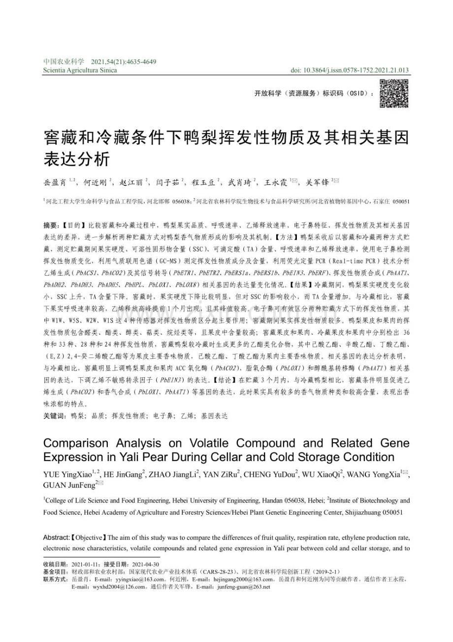 窖藏和冷藏条件下鸭梨挥发性物质及其相关基因表达分析.pdf_第1页