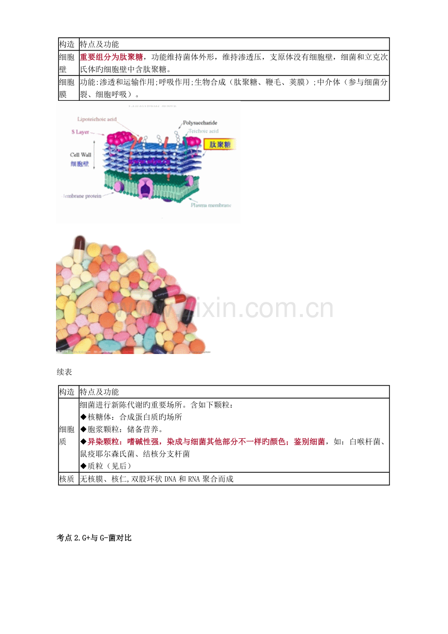 2023年执业医师考试重点医学微生物学.doc_第2页