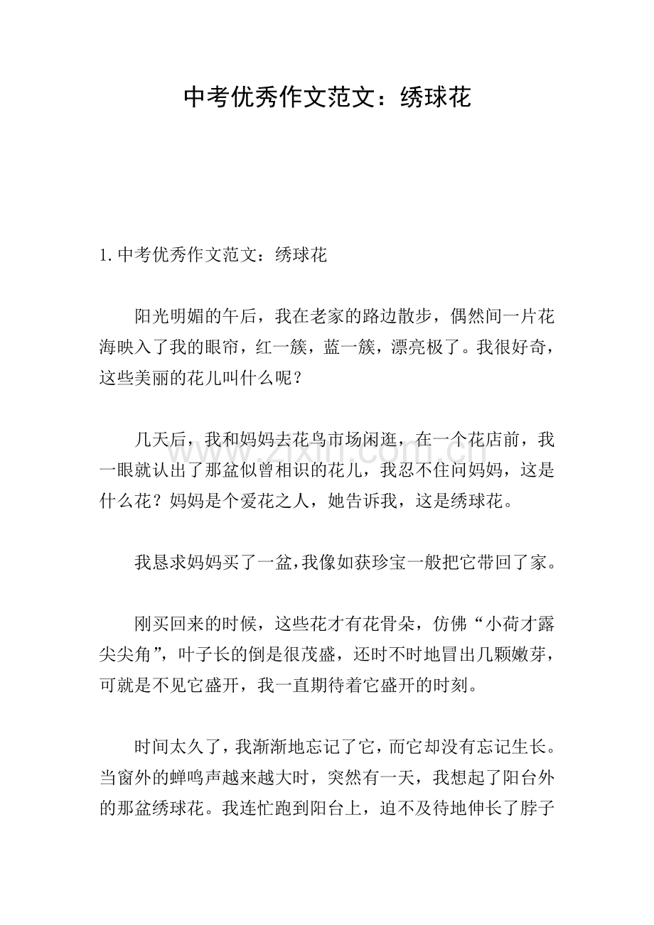 中考优秀作文范文：绣球花.doc_第1页