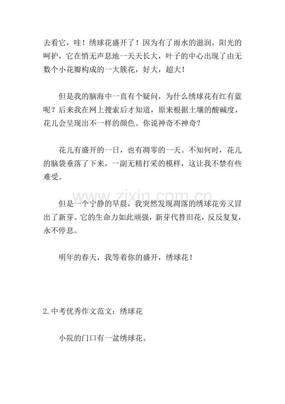 中考优秀作文范文：绣球花.doc_第2页