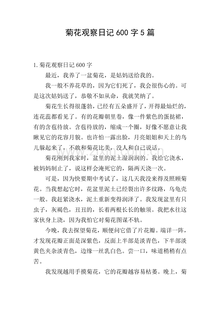 菊花观察日记600字5篇.doc_第1页