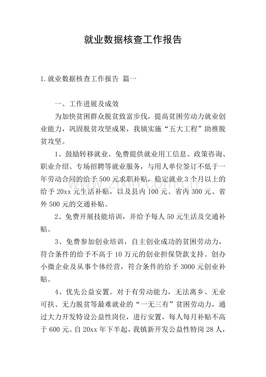 就业数据核查工作报告.doc_第1页