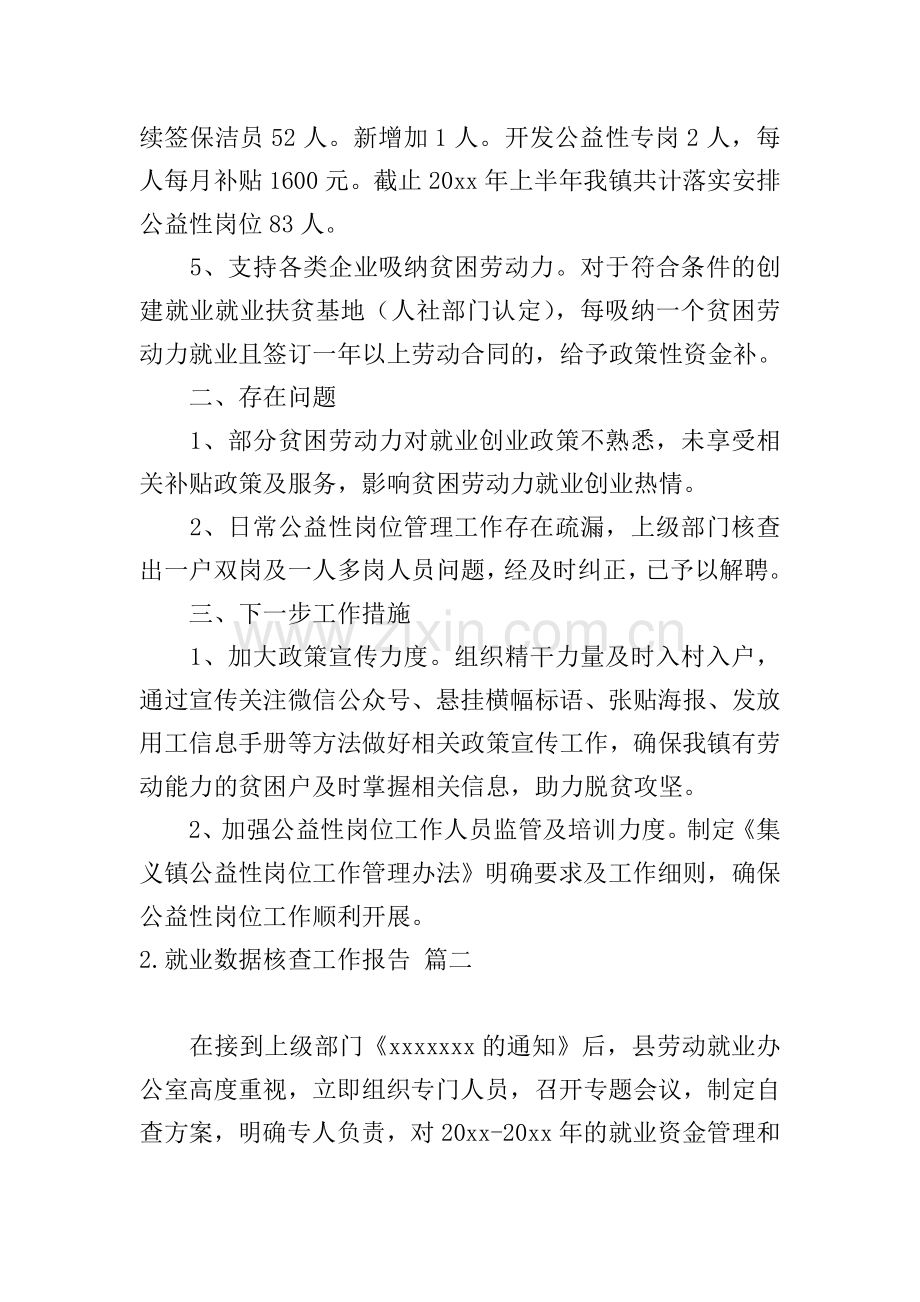 就业数据核查工作报告.doc_第2页