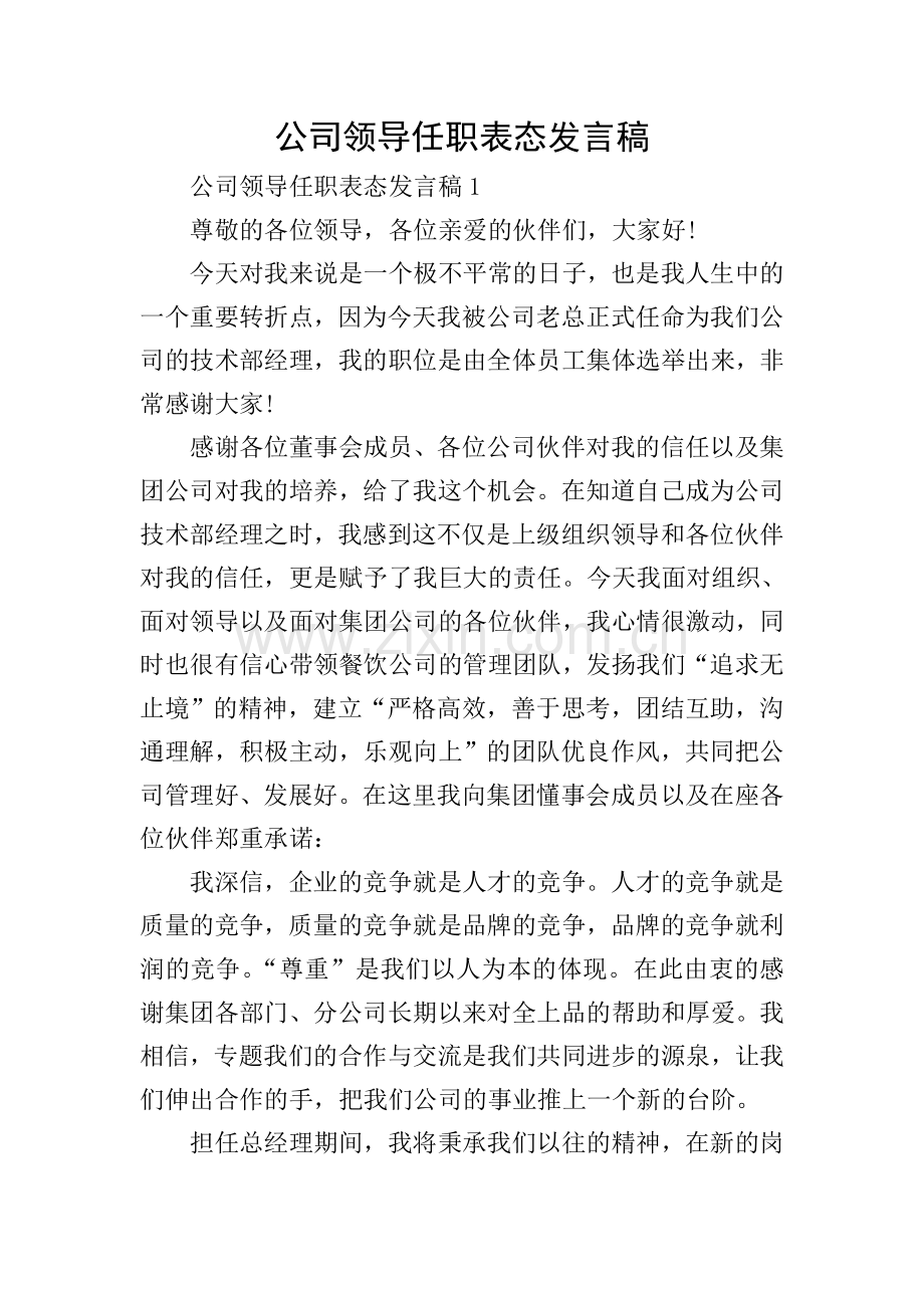 公司领导任职表态发言稿.doc_第1页