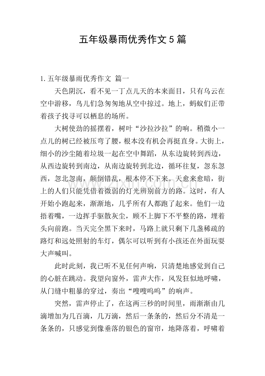 五年级暴雨优秀作文5篇.doc_第1页