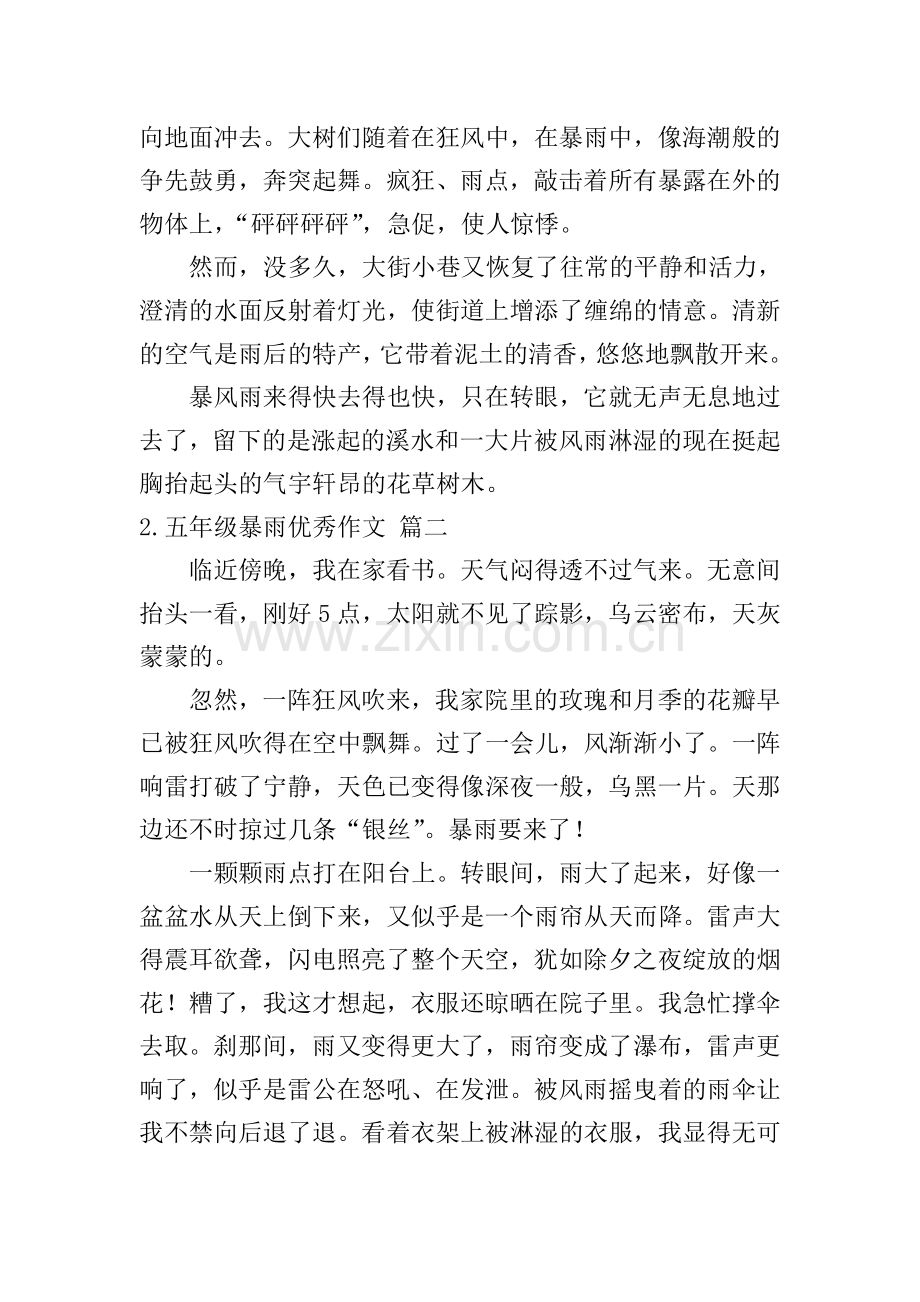 五年级暴雨优秀作文5篇.doc_第2页