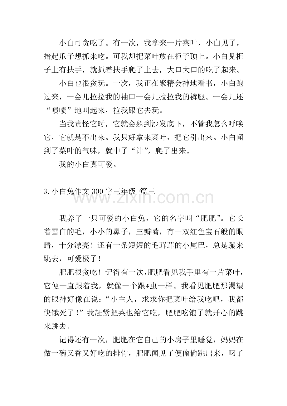 小白兔作文300字三年级.doc_第2页