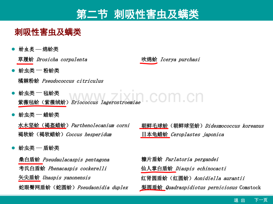 常见园林病虫害(刺吸性害虫及螨类).ppt_第1页
