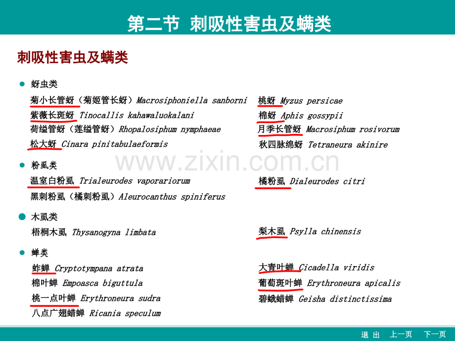 常见园林病虫害(刺吸性害虫及螨类).ppt_第2页