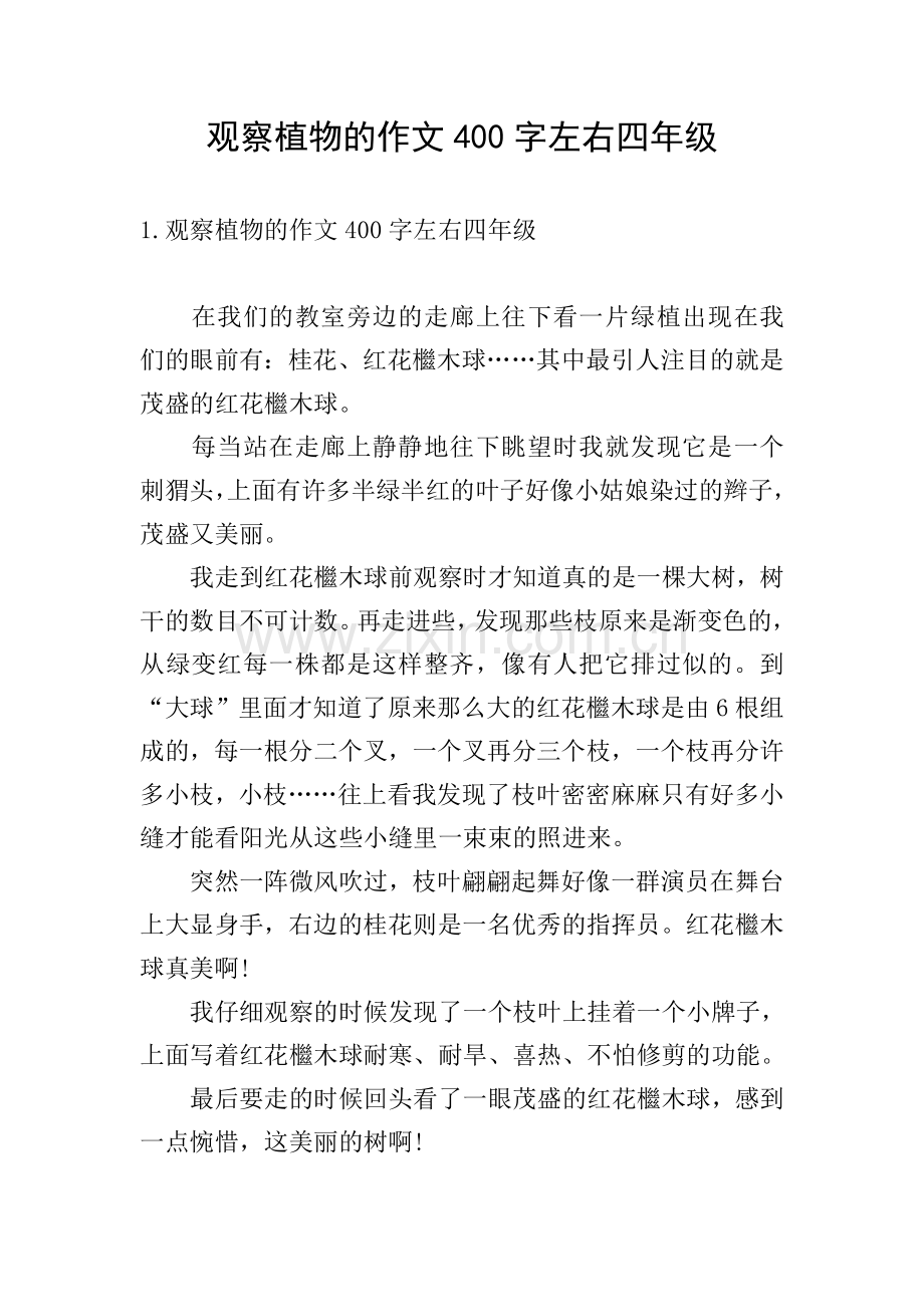观察植物的作文400字左右四年级.doc_第1页