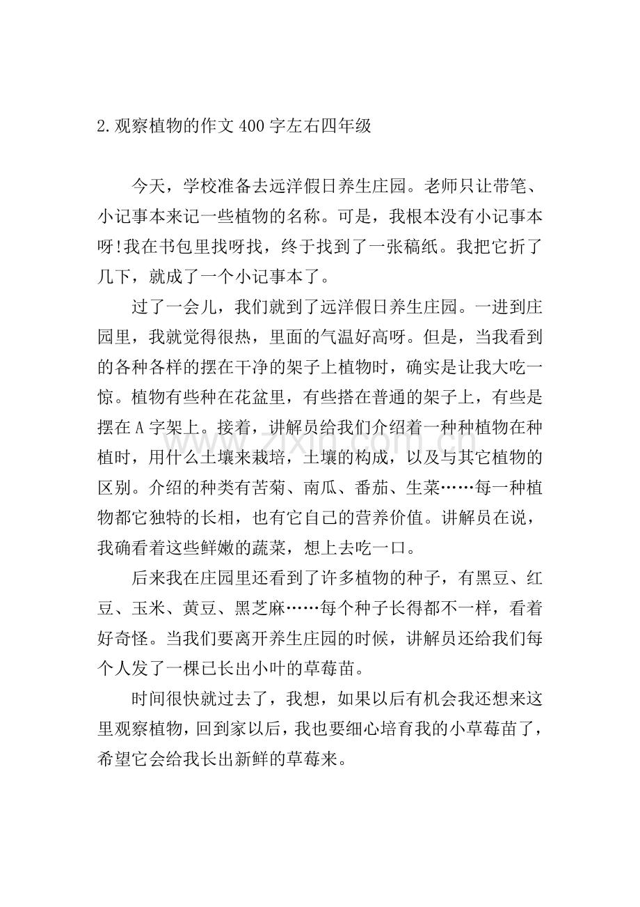 观察植物的作文400字左右四年级.doc_第2页