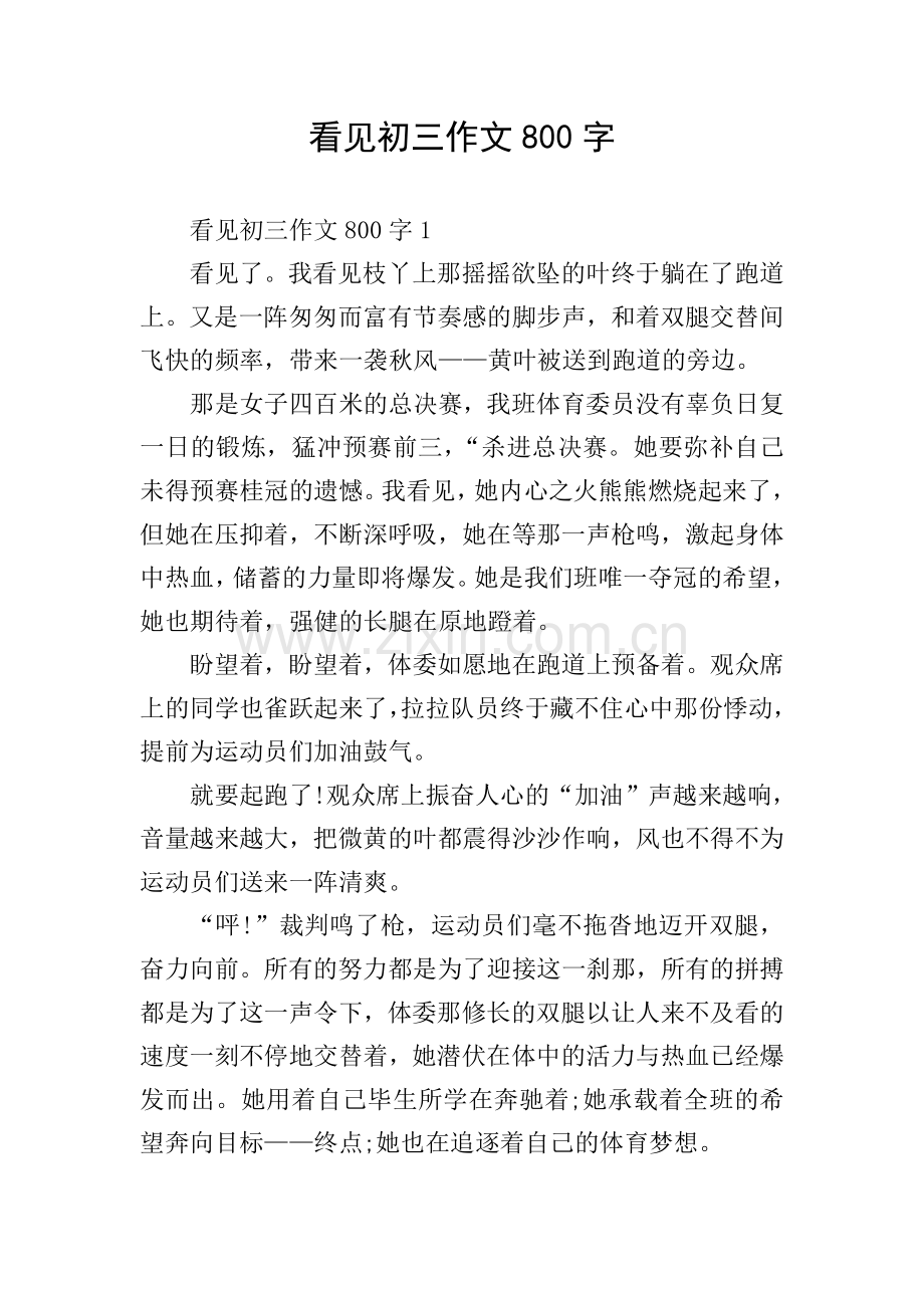 看见初三作文800字.doc_第1页