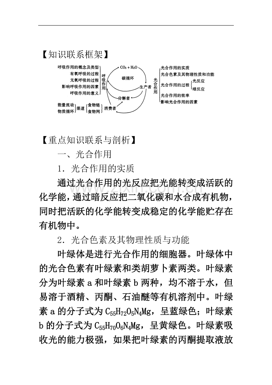 专题五-光合作用和呼吸作用与碳循环和能量流动1.doc_第2页