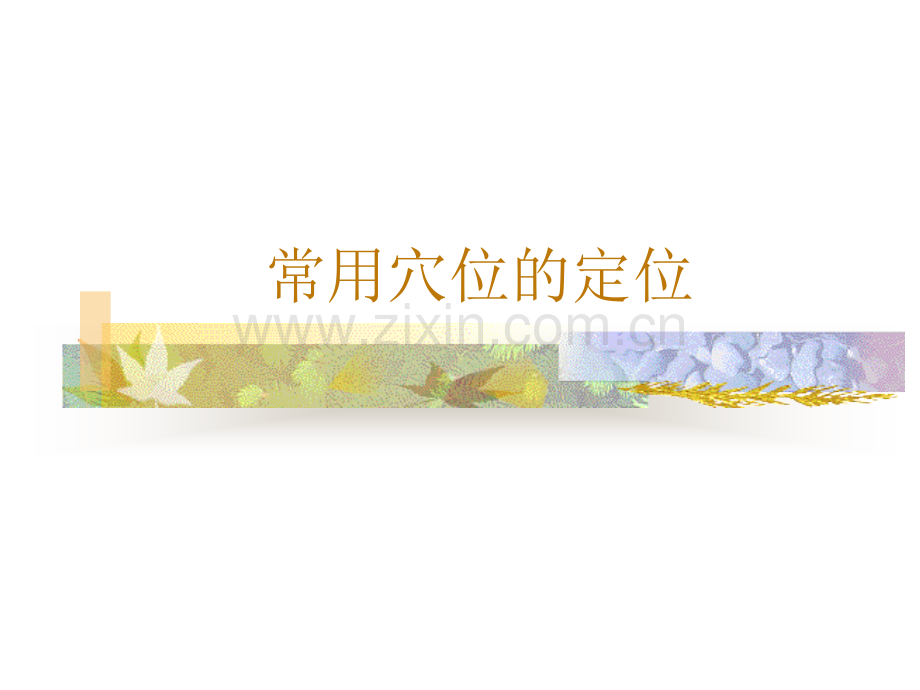 第七章+第四节+常用腧穴(新).ppt_第1页