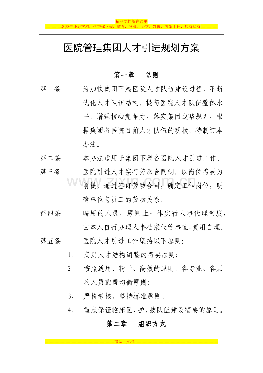 某医院管理集团人才引进规划方案.docx_第1页