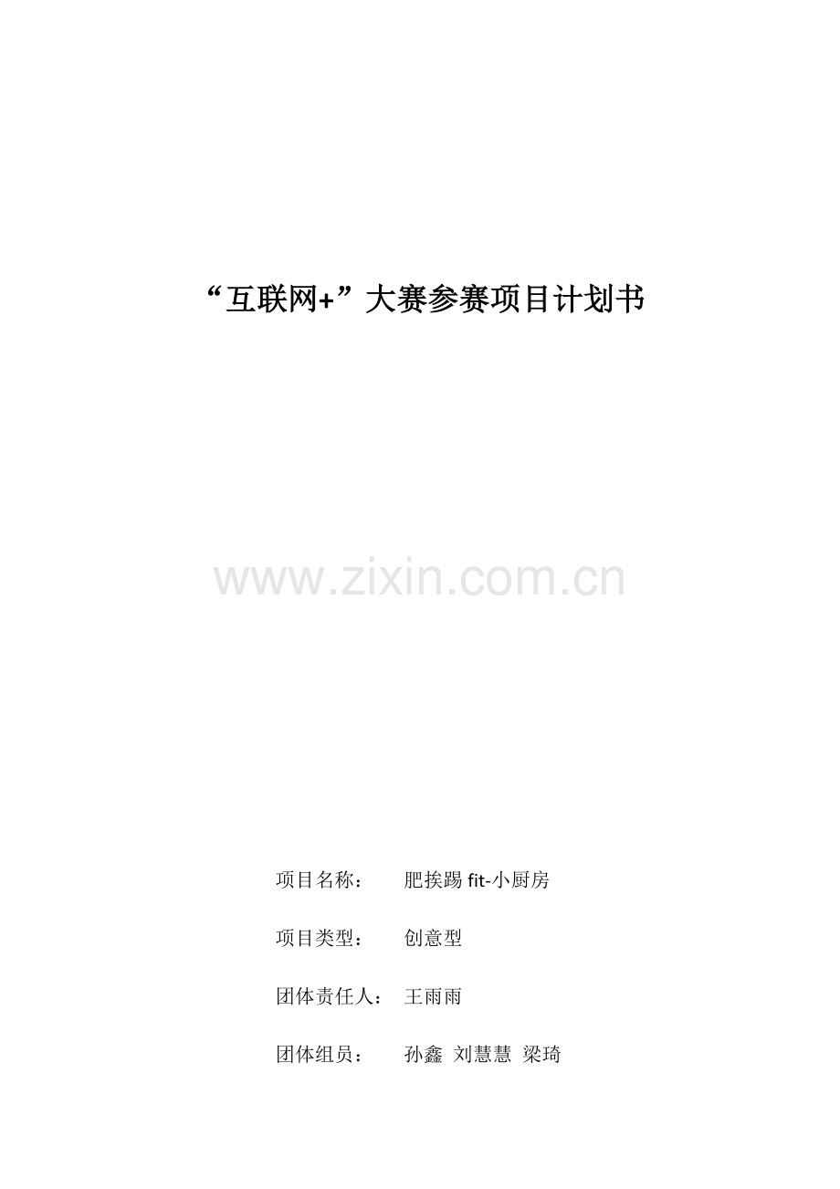 新版互联网综合项目专题计划书.docx_第1页
