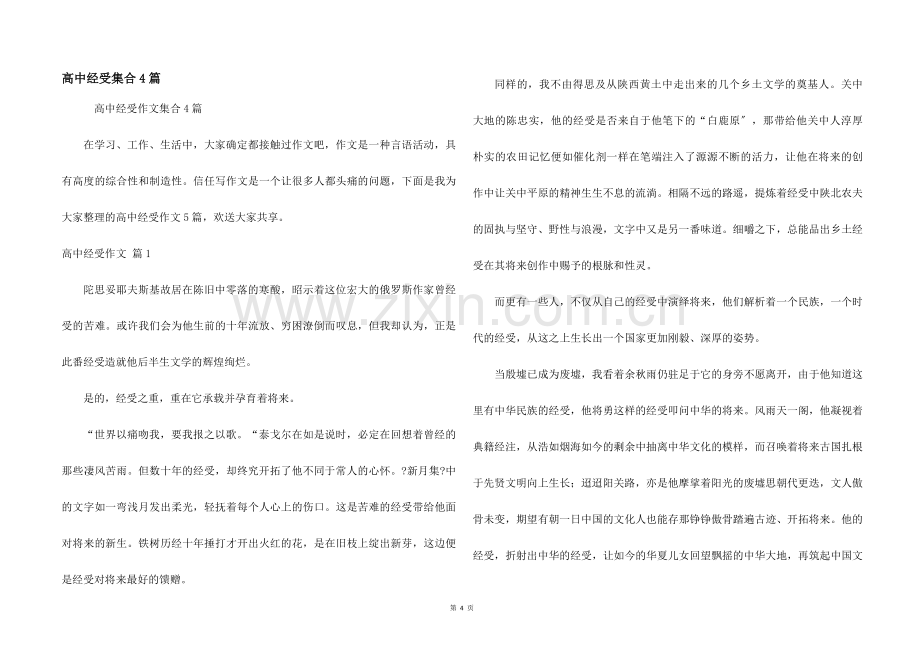高中经历集合4篇.docx_第1页