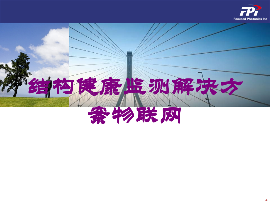 结构健康监测解决方案物联网培训课件.ppt_第1页