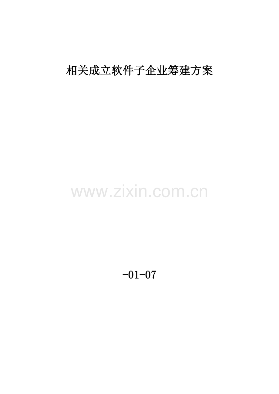 软件子公司筹建专项方案模板.docx_第1页